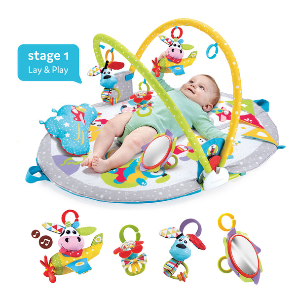 Sit-Up Gym & Baby Elephant Bundle